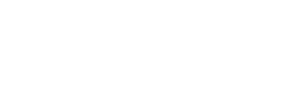 Agronavi logo