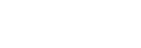 Neumann logo